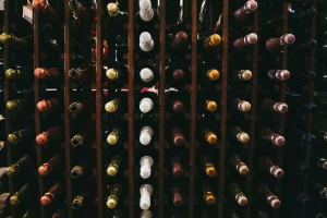 Bottles of wine in a wine rack