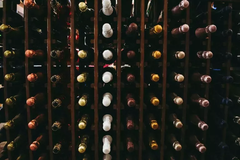 Bottles of wine in a wine rack
