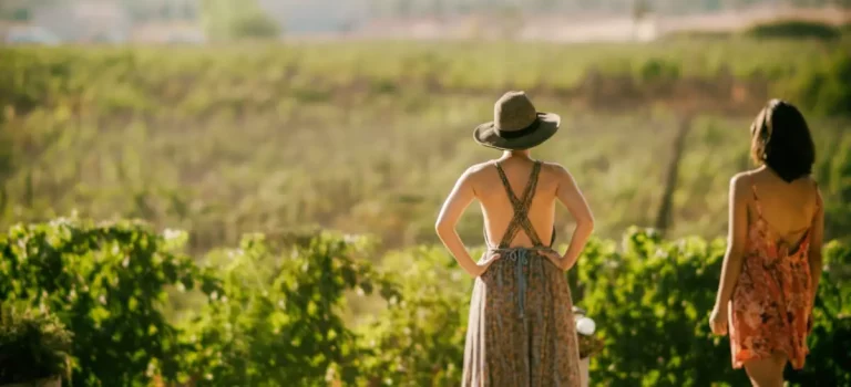 Women in a vineyard
