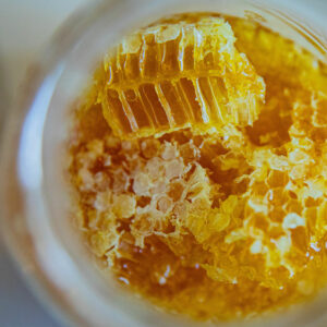 Fresh honeycomb